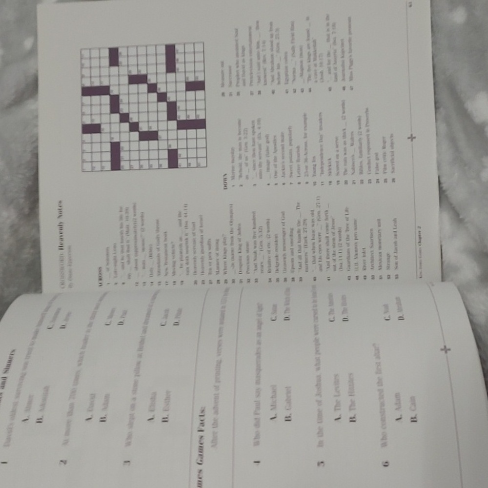 Games More Than 200 Scripture-Teaching Puzzles - Picture 8 of 11